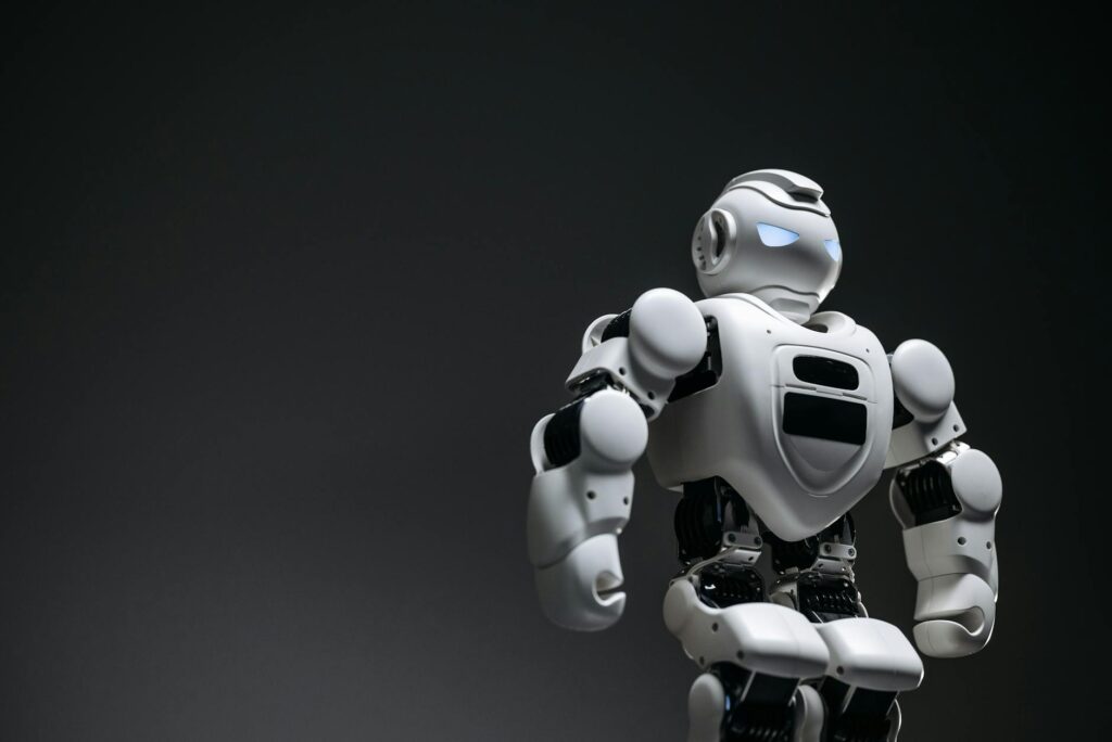 Chatbot Ajansı