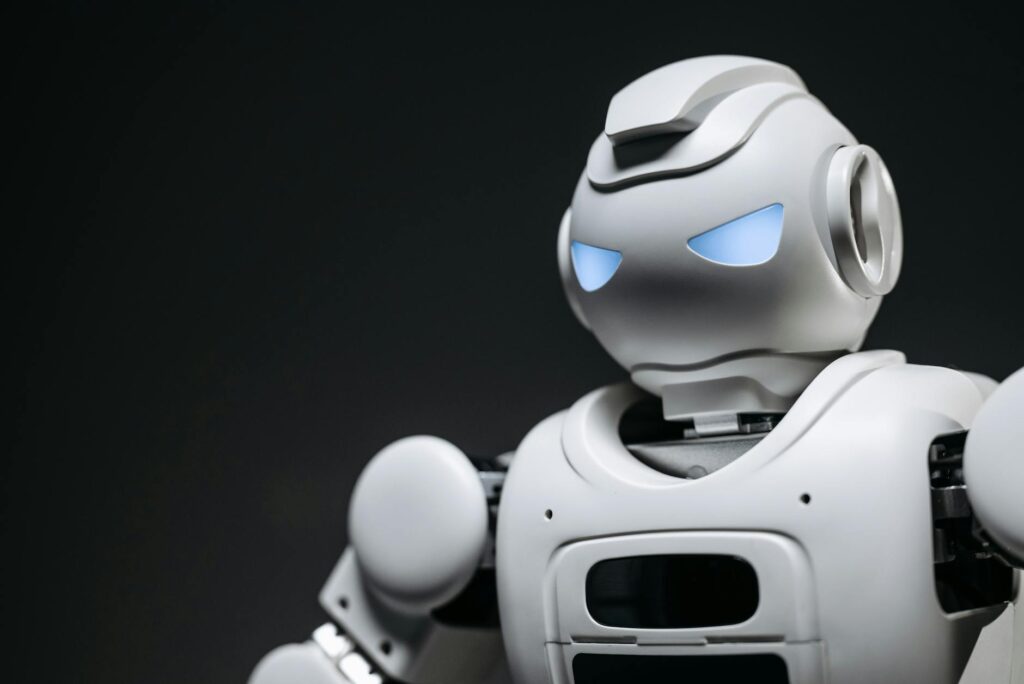Belediye Vatandaş Chatbot Geliştirme